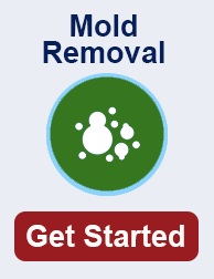 mold remediation in Fishers Indiana